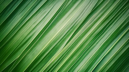 Natural background with tropical leaves. The texture of a green leaf
