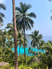 Obraz premium Vibrant Thailand: golden temples, lush jungles, bustling markets, and serene beaches. A blend of rich culture, stunning landscapes, and warm hospitality.
