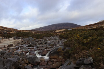 Wicklow Mountains