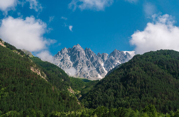 Majestic mountain peaks surrounded by lush green forests under clear blue sky