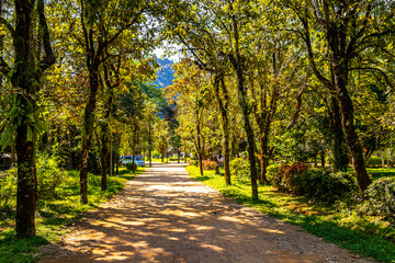 Tropical nature park and garden in Vang Vieng Laos.