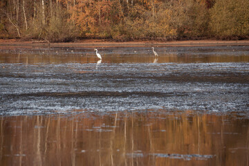 Thülsfelder Talsperre Germany