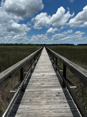 Fototapeta premium wooden bridge over the marsh
