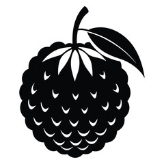 tropical lychee fruit silhouette vector illustration for botanical design