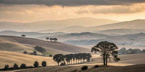 Obraz premium Soft Beige and Taupe Hues Blend to Form a Serene and Tranquil Rolling Landscape of Nature's Palette