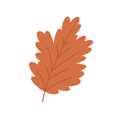 Cute hand drawn autumn leaf, cartoon flat vector illustration isolated on white background. Simple red fall leaf, nature design element.
