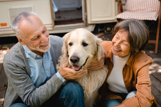Smiling old senior couple playing with their dog golden retriever labrador while driving camper van
