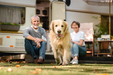 Good boy dog domestic animal golden retriever labrador walking running with owners in trailer camper