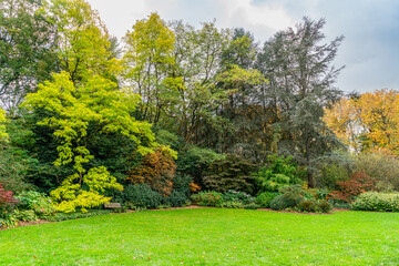 Kubtoa Autumn Variety 2