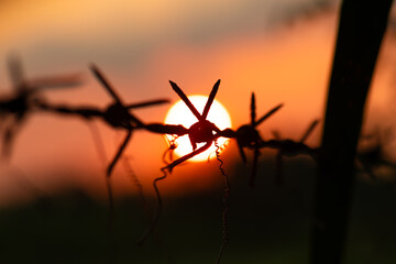 Silhouette of barbed wire with sunset backdrop, symbolizing restriction and resilience