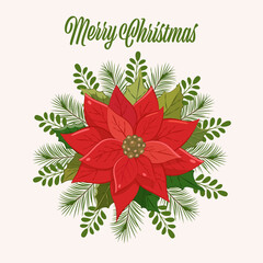 Christmas flowers. A vibrant holiday wreath featuring red poinsettias, green leaves, and white berries arranged for festive decoration during winter
