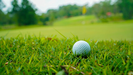 Golf ball is on a green lawn in a beautiful golf course with morning sunshine.