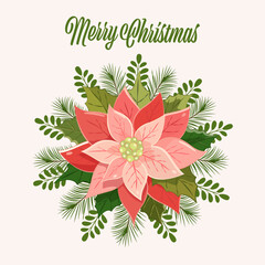 Christmas flowers. A vibrant holiday wreath featuring red poinsettias, green leaves, and white berries arranged for festive decoration during winter