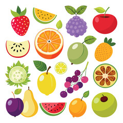 fruits set vector