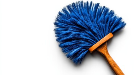 Blue Dustpan Brush with Wooden Handle 
