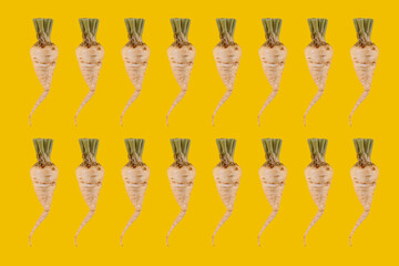 Repeating pattern of crisp white parsnips