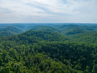 Obraz premium aerial view, appalachian mountains, Appalachian region, biodiversity, conservation, dense forest, environmental, forest, green mountains, hills, Landscape, Lush greenery, mountain range, Natural beaut