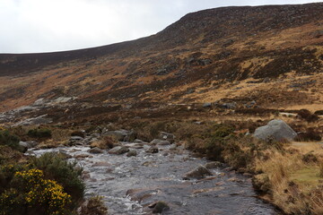 Wicklow Mountains