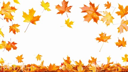 Pile of autumn leaves isolated on white background 