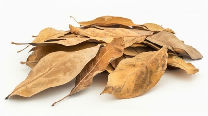 Fototapeta premium Pile of autumn leaves isolated on white background 