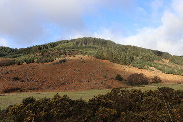 Wicklow Mountains