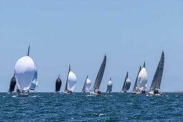 Obraz premium Sailboats Racing on Calm Seas Under Clear Blue Skies, Graceful and Determined