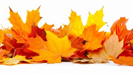 Fototapeta premium Pile of autumn leaves isolated on white background 