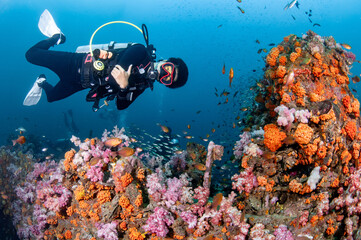 Male Scuba diver diving through colorful soft coral reef and school of fish at King Cruiser wreck...