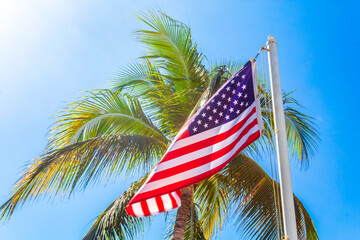 Flag of the United States of America with a palm tree in the background and a ray of sunlight