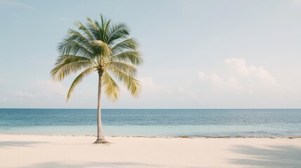 Obraz premium Vivid Palm Tree on Serene Beach Landscape