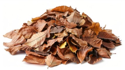 Fototapeta premium autumn, leaf, maple, fall, leaves, nature, season, tree, yellow, orange, isolated, foliage, plant, color, object, november, red, brown, colorful, october, golden, gold, texture, seasonal