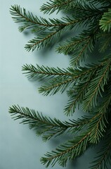 Obraz premium Christmas tree close, macro background of spruce branches