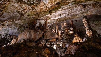 old cave in the forest