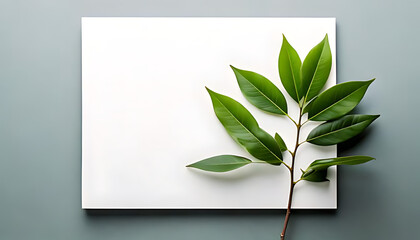 minimalist composition features single green branch white paper symbolizing natural simplicity elegance effortlessly