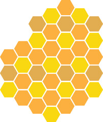 Hexagon Cell Honey