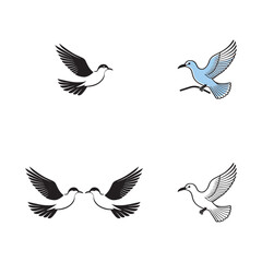 Seagul bird logo icon vector