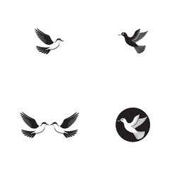 Obraz premium Seagul bird logo icon vector