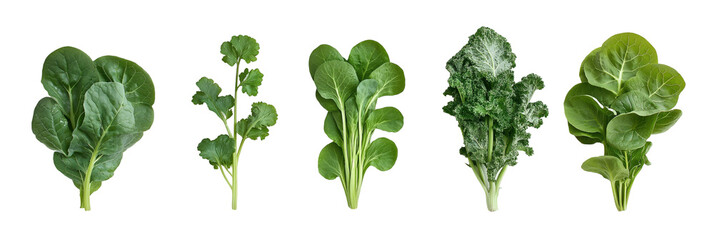 Fresh spring vegetables arrangement for healthy eating and cooking inspiration - png set transparent background