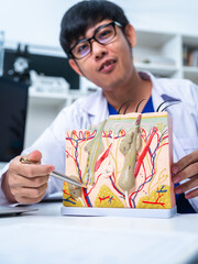 An expert dermatologist is using a skin model to explain or giving a consultation about skin rash, allergy or dermatology condition to patient. A professional doctor diagnose about skin problem.