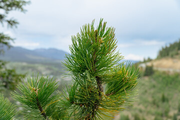 Breckenridge, Colorado