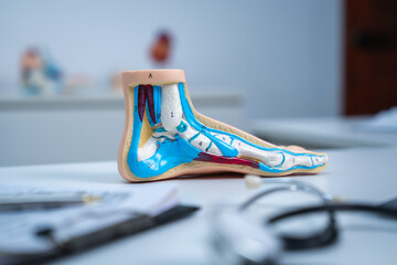 Professional Podiatrist doctor diagnose foot during medical examination of patient, doctor use foot model to explain the problem or injury of bone, structure of ankle, use x-ray to plan a surgery.