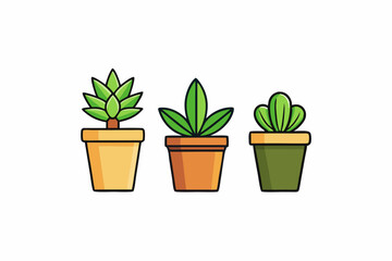 Potted plant for indoor vector illustration on white background.