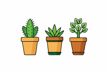 Potted plant for indoor vector illustration on white background.