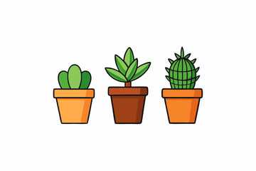 Potted plant for indoor vector illustration on white background.