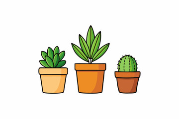 Potted plant for indoor vector illustration on white background.