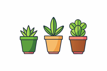 Potted plant for indoor vector illustration on white background.