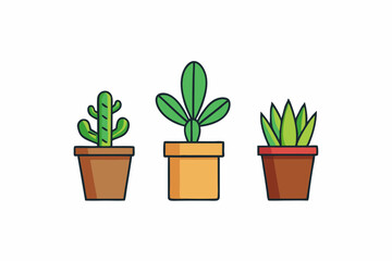 Potted plant for indoor vector illustration on white background.