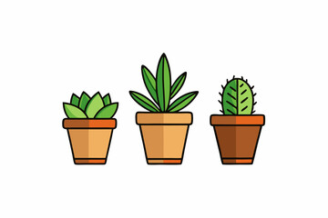 Potted plant for indoor vector illustration on white background.