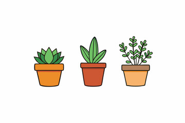 Potted plant for indoor vector illustration on white background.