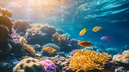 Obraz premium A vibrant coral reef scene with colorful fish swimming around, natural and underwater